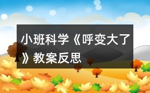 小班科學(xué)《呼變大了》教案反思