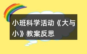 小班科學(xué)活動(dòng)《大與小》教案反思