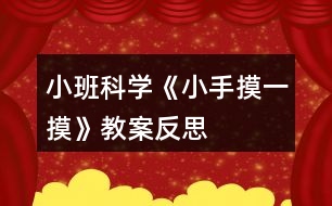 小班科學(xué)《小手摸一摸》教案反思