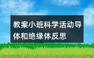 教案小班科學(xué)活動導(dǎo)體和絕緣體反思