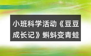 小班科學(xué)活動《豆豆成長記》蝌蚪變青蛙故事腳本