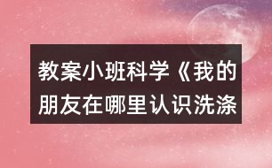 教案小班科學(xué)《我的朋友在哪里（認(rèn)識(shí)洗滌用品）》反思