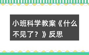 小班科學(xué)教案《什么不見了？》反思