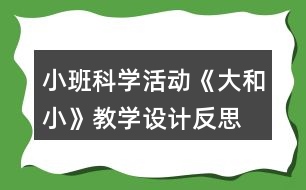 小班科學活動《大和小》教學設計反思