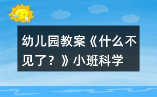 幼兒園教案《什么不見了？》小班科學(xué)