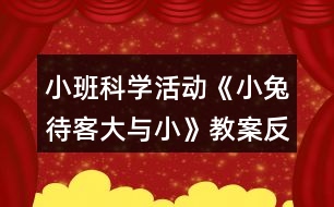 小班科學活動《小兔待客（大與小）》教案反思