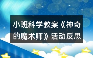 小班科學教案《神奇的魔術師》活動反思