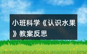 小班科學(xué)《認(rèn)識水果》教案反思