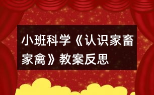 小班科學(xué)《認(rèn)識(shí)家畜家禽》教案反思