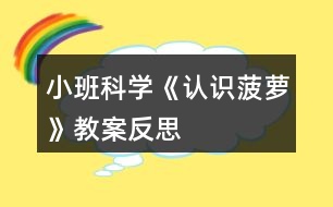 小班科學(xué)《認識菠蘿》教案反思