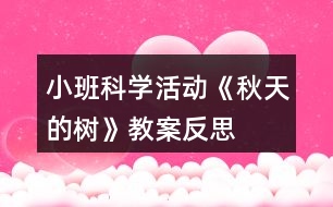 小班科學活動《秋天的樹》教案反思