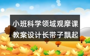 小班科學(xué)領(lǐng)域觀摩課教案設(shè)計長帶子飄起來反思