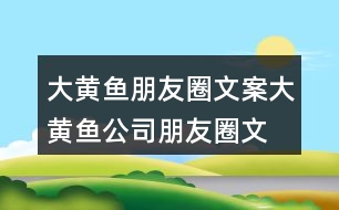 大黃魚朋友圈文案、大黃魚公司朋友圈文案32句