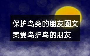 保護(hù)鳥類的朋友圈文案、愛鳥護(hù)鳥的朋友圈文案36句