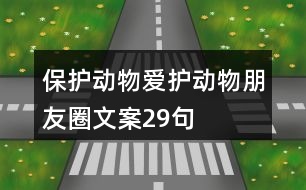 保護動物、愛護動物朋友圈文案29句