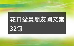 花卉盆景朋友圈文案32句