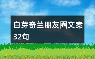 白芽奇蘭朋友圈文案32句