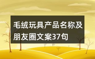 毛絨玩具產(chǎn)品名稱及朋友圈文案37句