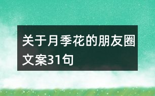 關(guān)于月季花的朋友圈文案31句