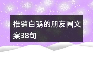 推銷(xiāo)白鵝的朋友圈文案38句