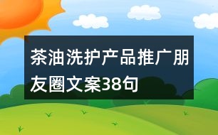 茶油洗護產品推廣朋友圈文案38句