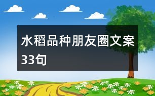 水稻品種朋友圈文案33句