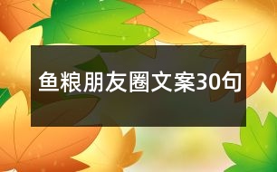 魚糧朋友圈文案30句