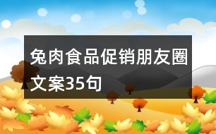 兔肉食品促銷(xiāo)朋友圈文案35句