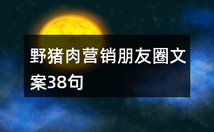 野豬肉營銷朋友圈文案38句