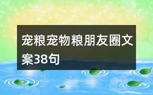 寵糧、寵物糧朋友圈文案38句