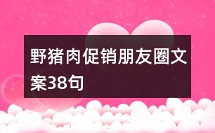 野豬肉促銷朋友圈文案38句