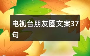 電視臺(tái)朋友圈文案37句