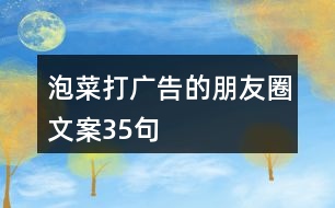 泡菜打廣告的朋友圈文案35句