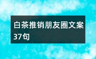 白茶推銷朋友圈文案37句