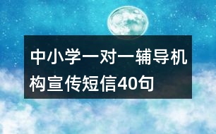 中小學一對一輔導機構(gòu)宣傳短信40句