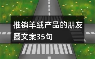 推銷羊絨產(chǎn)品的朋友圈文案35句