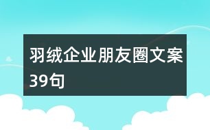 羽絨企業(yè)朋友圈文案39句