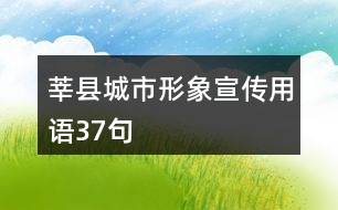 莘縣城市形象宣傳用語37句