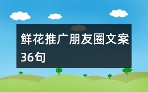 鮮花推廣朋友圈文案36句