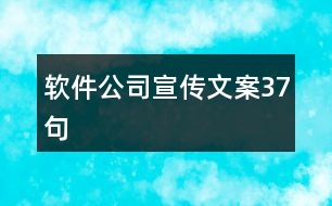 軟件公司宣傳文案37句