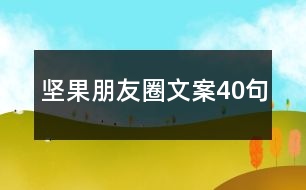 堅果朋友圈文案40句