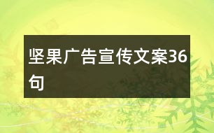 堅果廣告宣傳文案36句