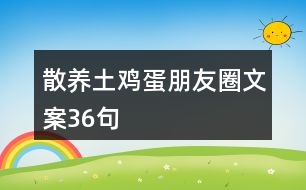 散養(yǎng)土雞蛋朋友圈文案36句