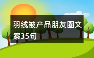 羽絨被產(chǎn)品朋友圈文案35句