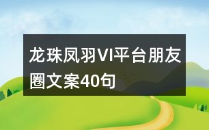 龍珠鳳羽VI平臺朋友圈文案40句