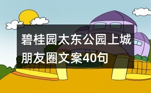 碧桂園太東公園上城朋友圈文案40句