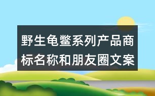 野生龜鱉系列產(chǎn)品商標名稱和朋友圈文案36句