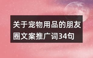 關于寵物用品的朋友圈文案、推廣詞34句