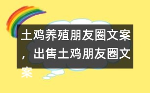 土雞養(yǎng)殖朋友圈文案，出售土雞朋友圈文案37句