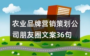 農(nóng)業(yè)品牌營銷策劃公司朋友圈文案36句